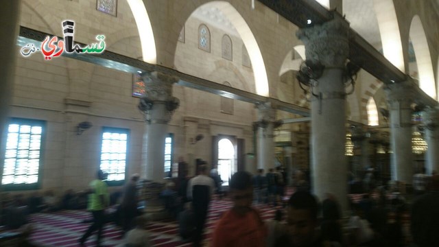 كفرقاسم :المعتمرون يلتقون في المسجد الاقصى المبارك  بعد عودتهم من الديار الحجازية
